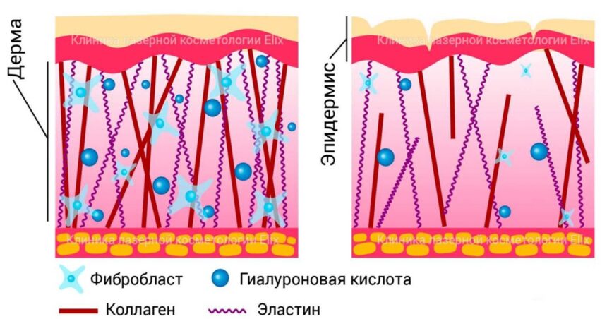 Лучшая процедура восстановления объема лица и молодости кожи после неудачных процедур