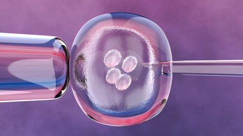 Лечение генетических заболеваний с помощью соматического переноса ядра (SCNT)